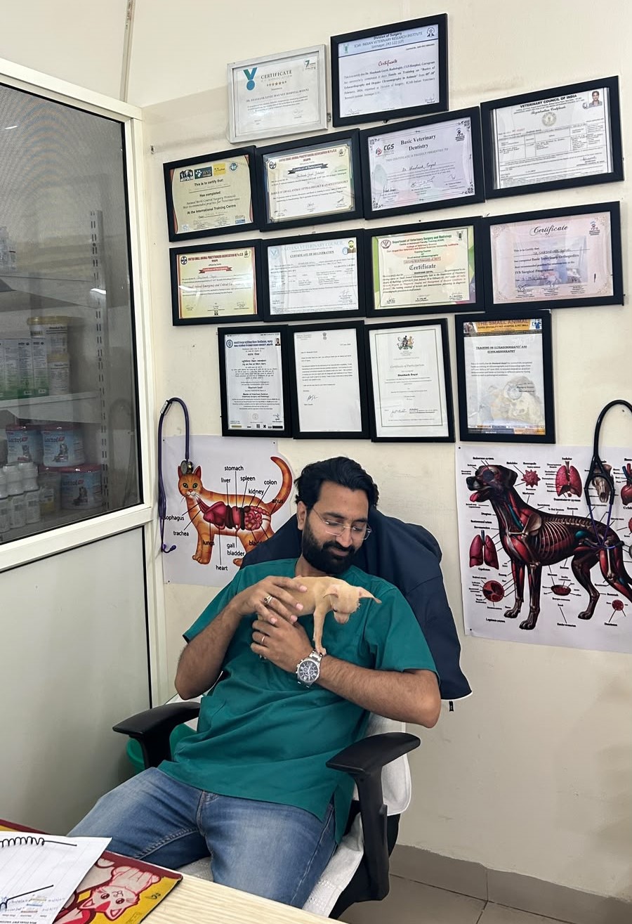Portrait of Dr. Shashank Goyal, Lead Veterinary Doctor at Blue Coat Vet Sushant Lok